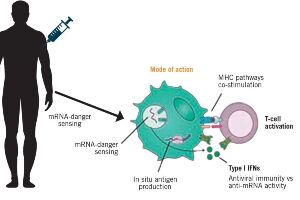 Messenger RNA Vaccines: Beckoning of a New Era in Cancer Immunotherapy